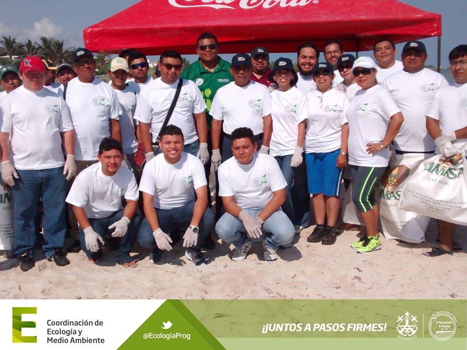 Limpiando progreso